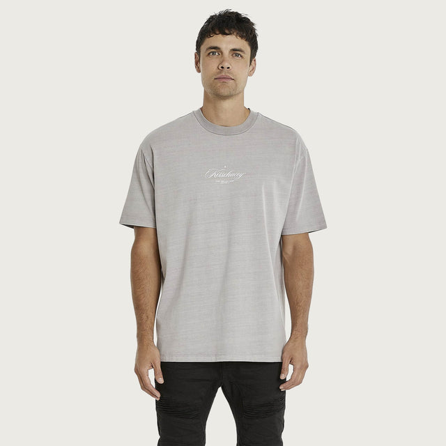 Steel Doves Heavy Box Fit T-Shirt Pigment Gull