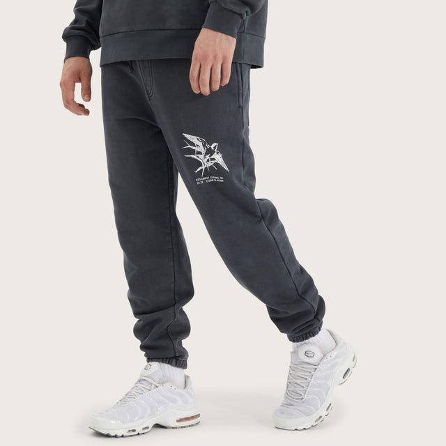 Monzie Trackpant Pigment Asphalt