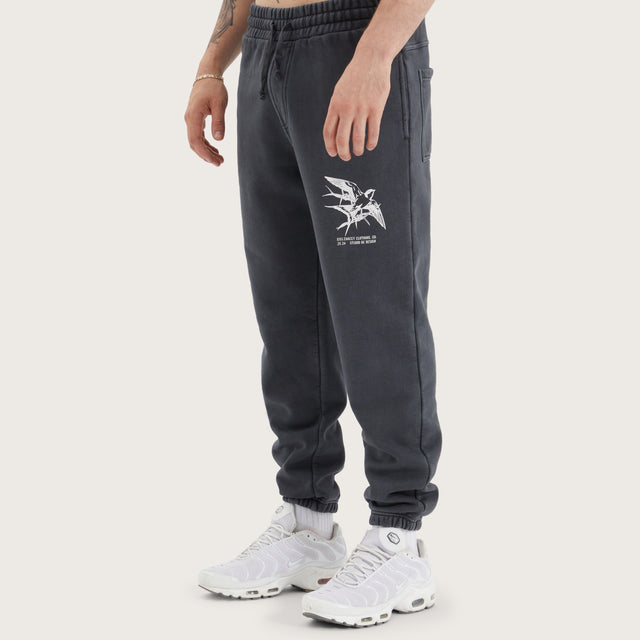 Monzie Trackpant Pigment Asphalt