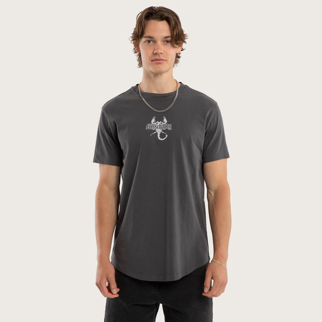 Model wears Arizona Dual Curved Tee Pigment Asphalt T-Shirts Grey – image 3