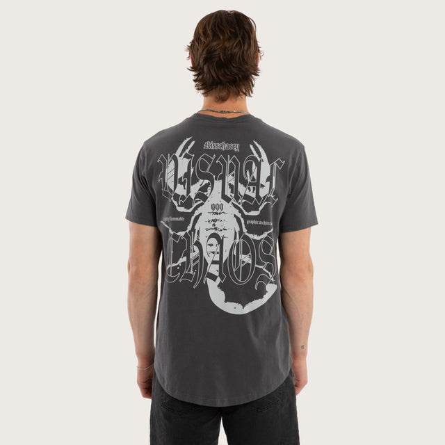 Model wears Arizona Dual Curved Tee Pigment Asphalt T-Shirts Grey – image 1