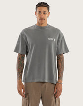Pigment Frost Grey