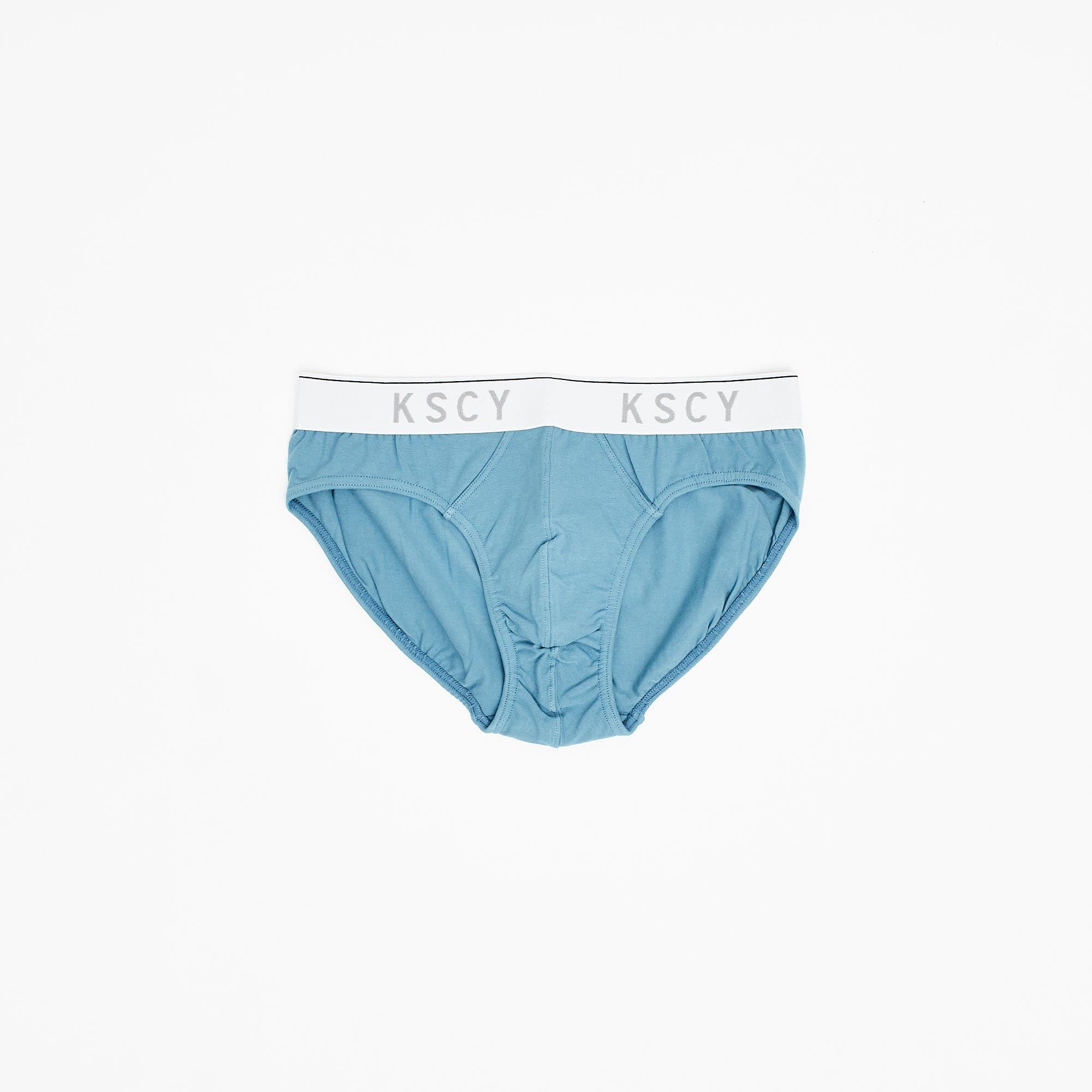 Power Brief 2 Pack Teal – Kiss Chacey